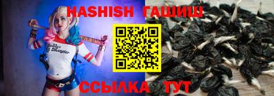 стафф Гай