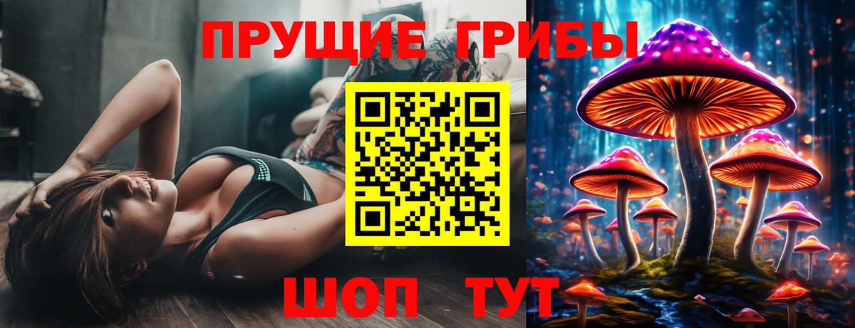 Псилоцибиновые грибы мицелий  как найти закладки  Вход с VPN  Зеленокумск  Псилоцибиновые грибы мицелий 